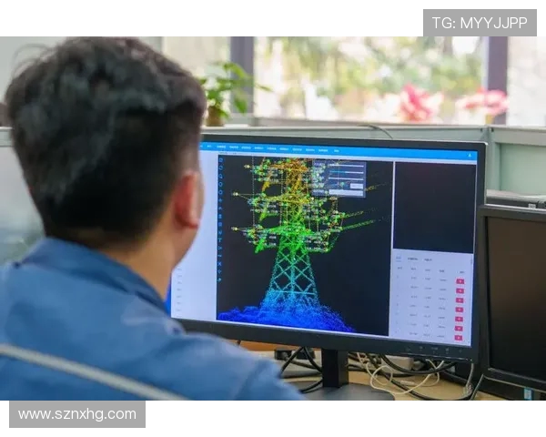 无人机在电力巡检中的障碍物感知