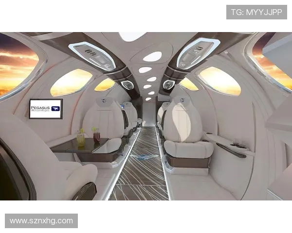 民用飞机飞行记录器的位置水下信标